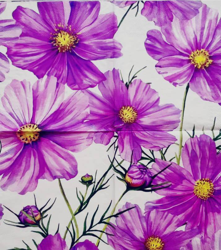 Seen Bunch’s khaddar two-piece suit Unstitched